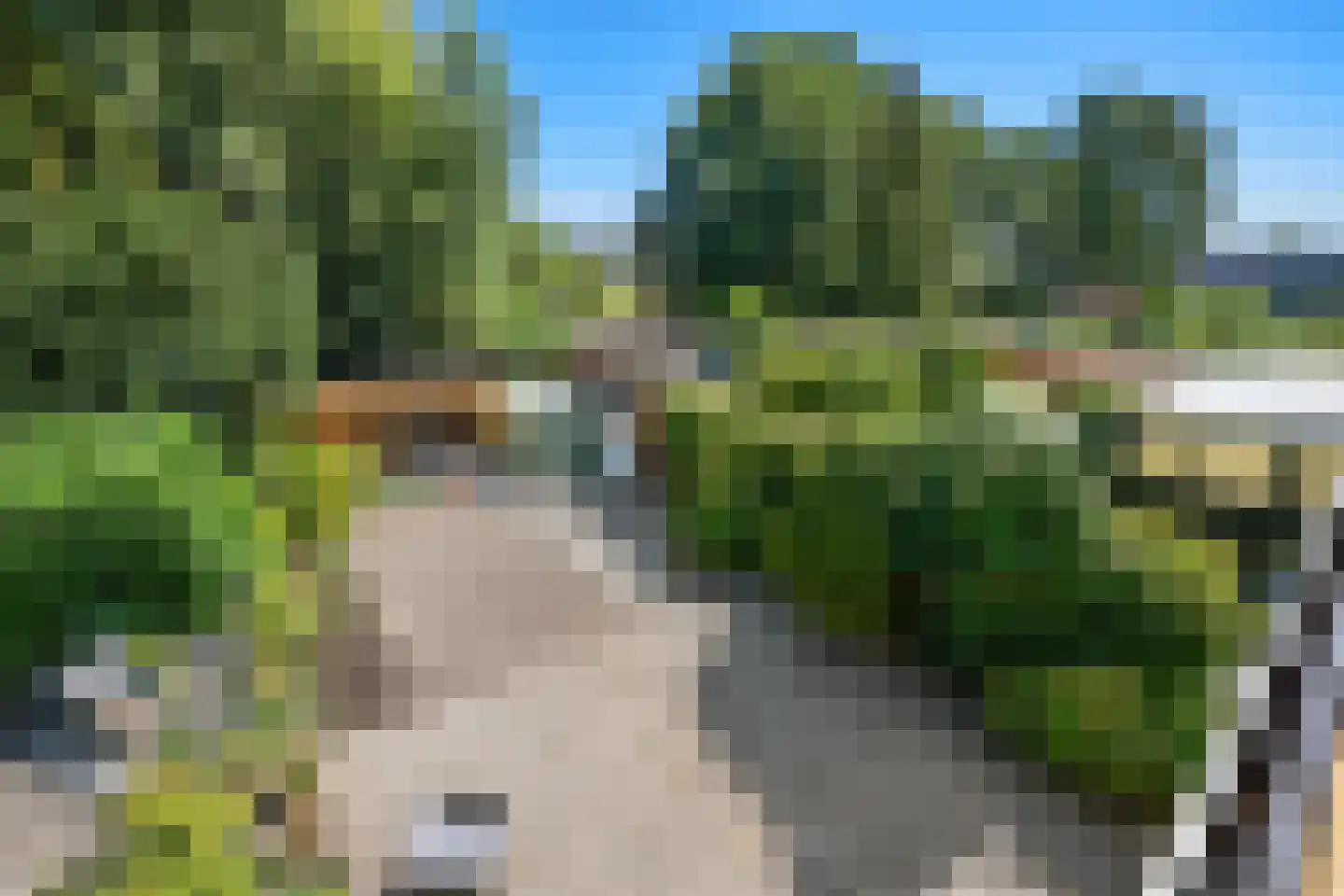 Terbregseweg 117 Rotterdam thumbnail 15