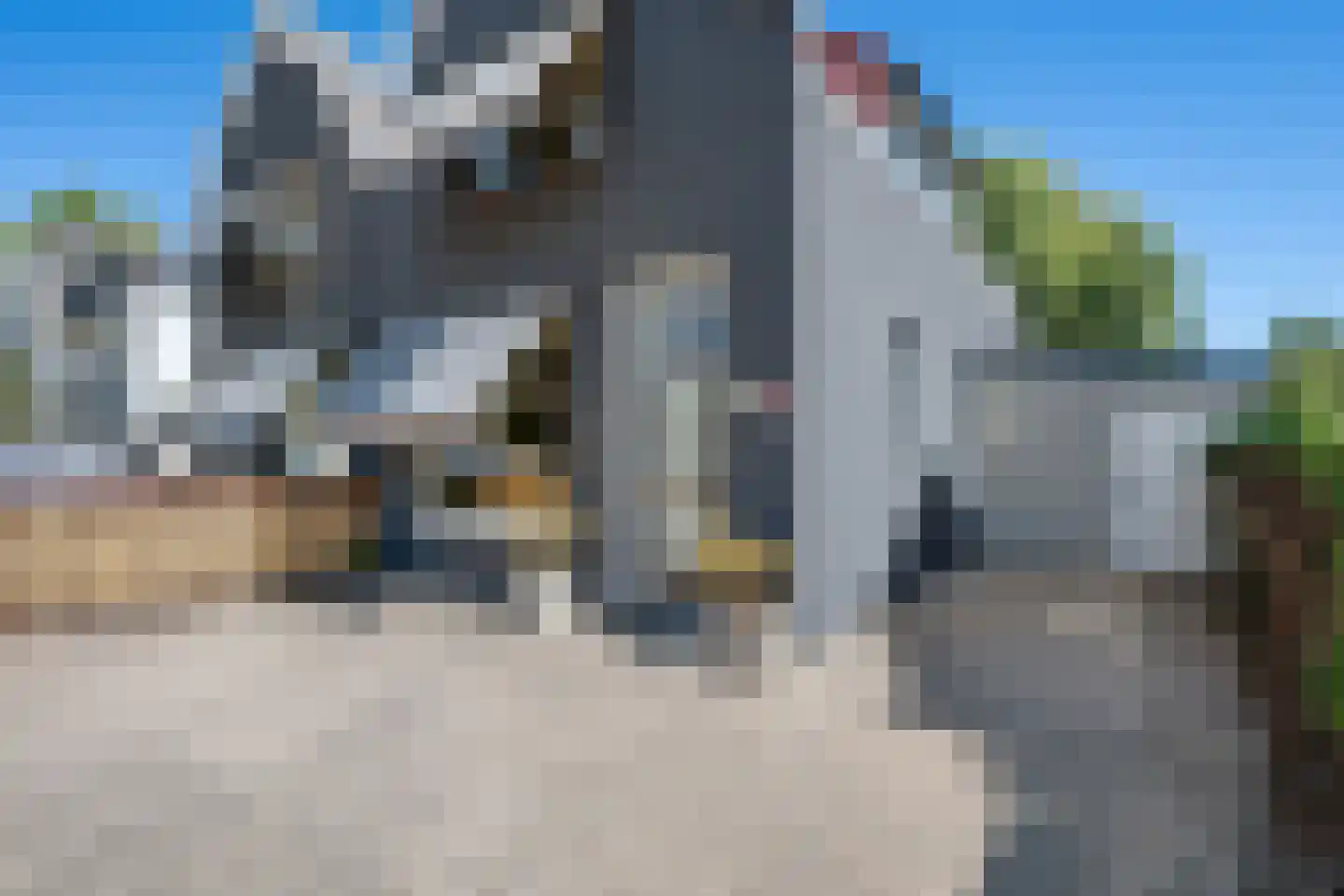 Terbregseweg 117 Rotterdam thumbnail 21