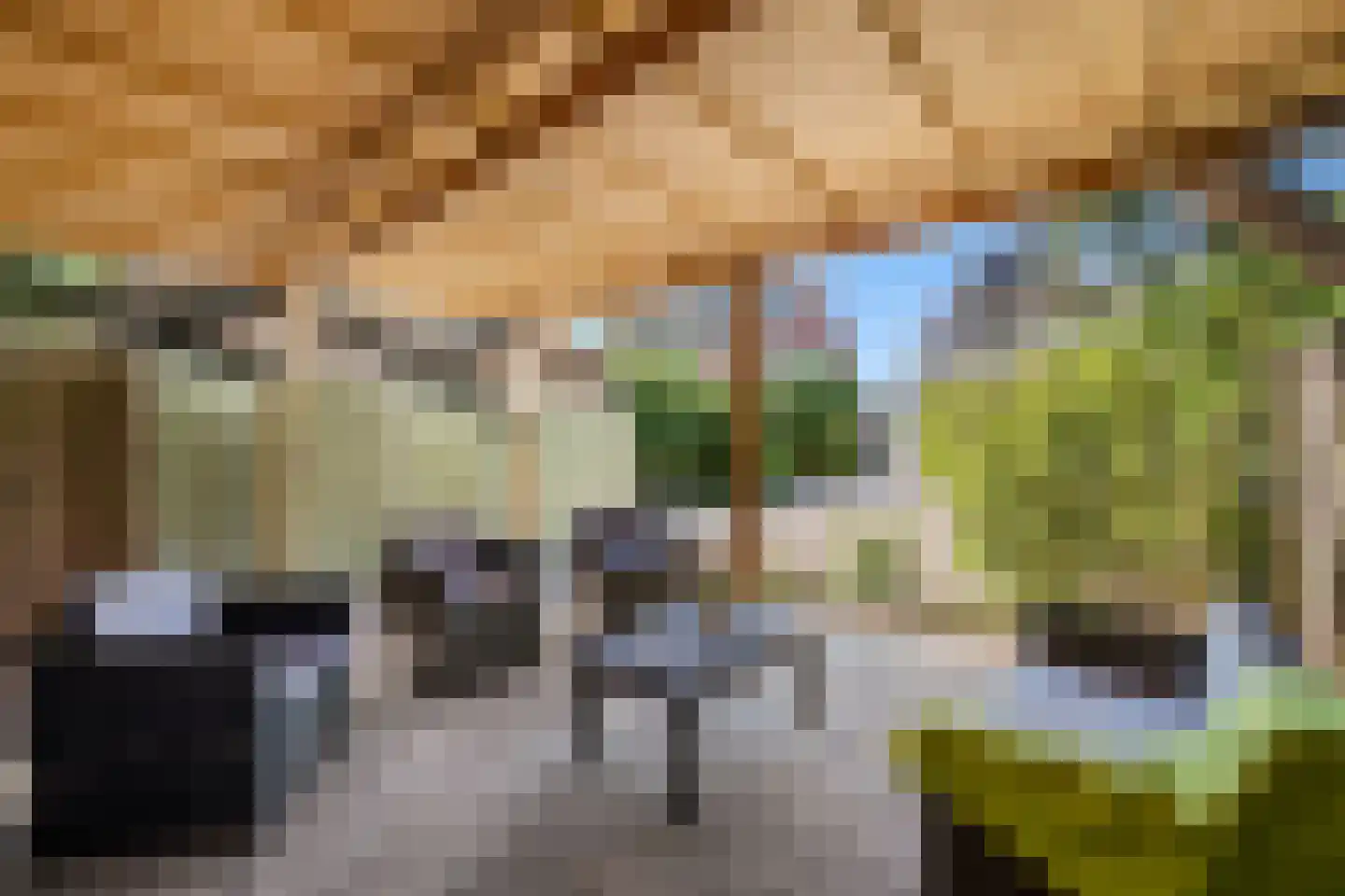 Terbregseweg 117 Rotterdam thumbnail 24