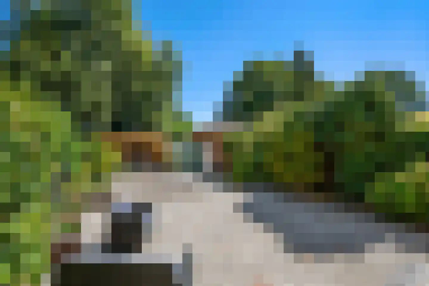 Terbregseweg 117 Rotterdam thumbnail 5