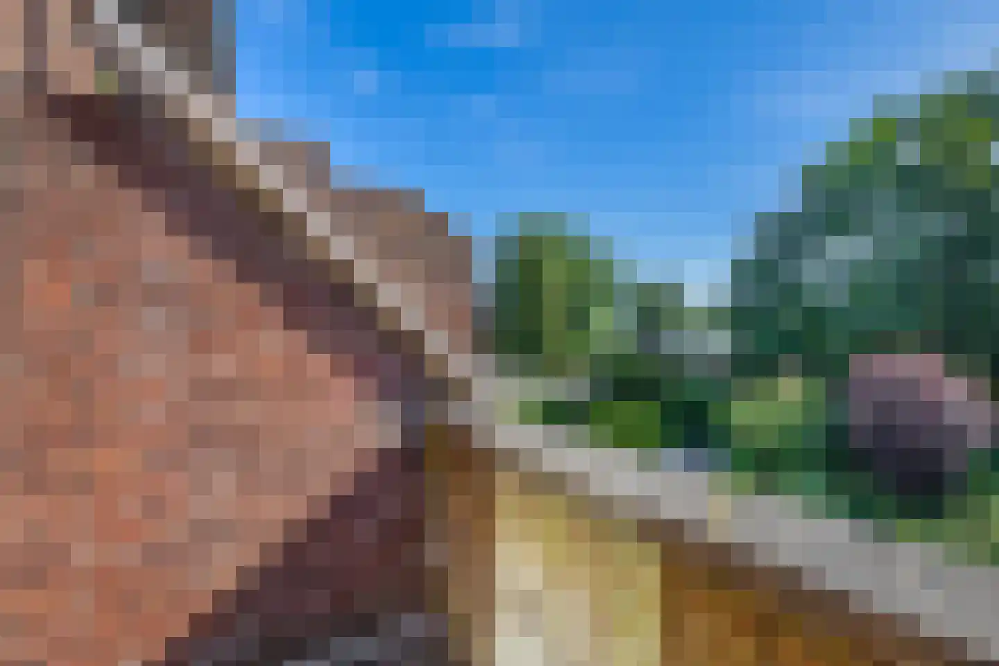 Terbregseweg 127 Rotterdam thumbnail 17