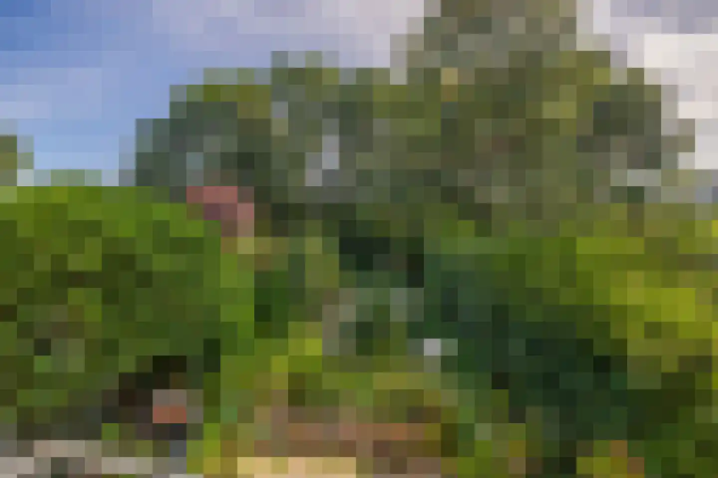 Terbregseweg 127 Rotterdam thumbnail 7