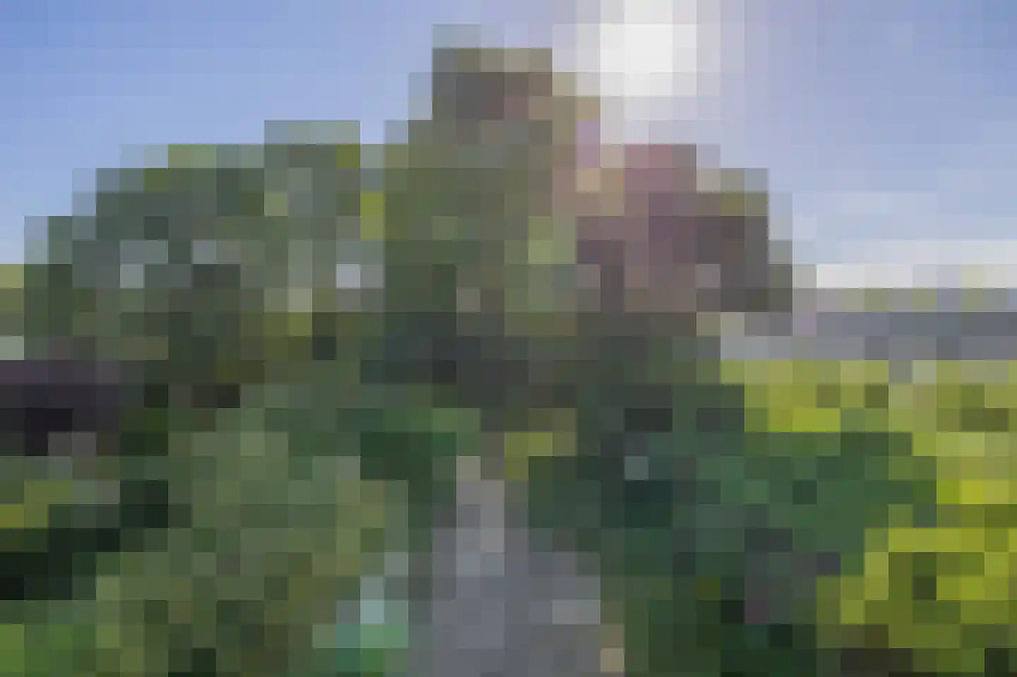 Terbregseweg 129 Rotterdam thumbnail 34
