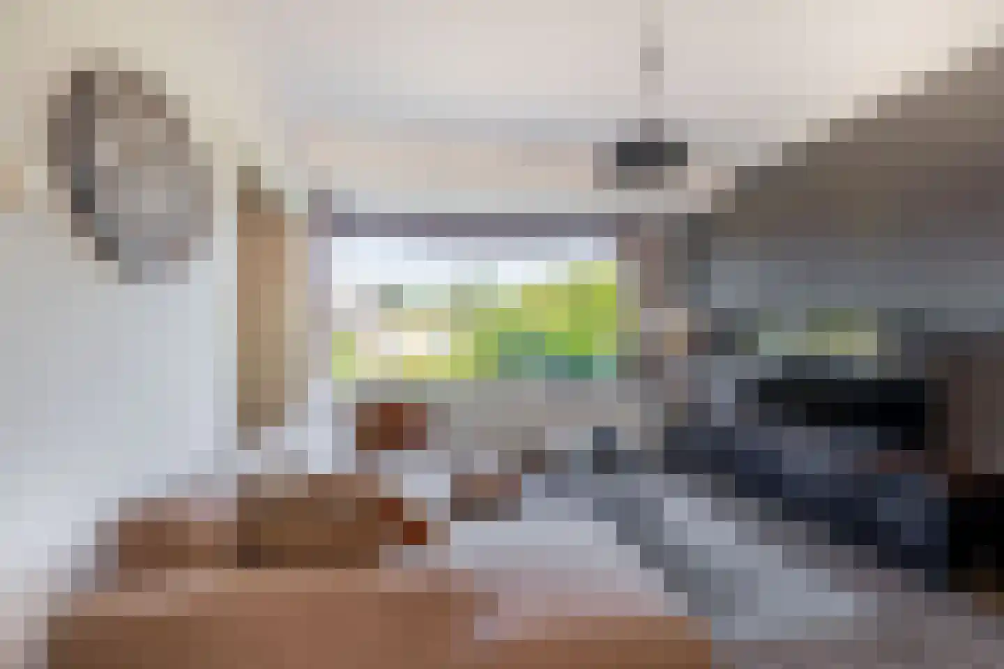 Terbregseweg 129 Rotterdam thumbnail 9