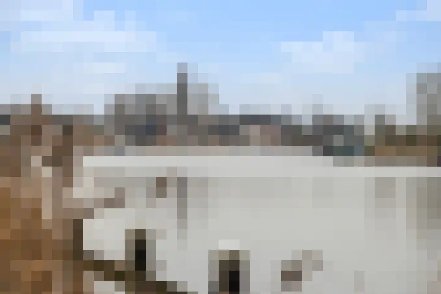 Terbregseweg 16 B Rotterdam thumbnail 24