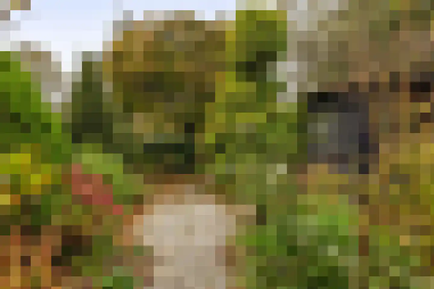 Terbregseweg 42 Rotterdam thumbnail 32