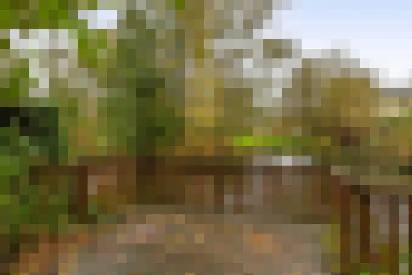 Terbregseweg 42 Rotterdam thumbnail 33