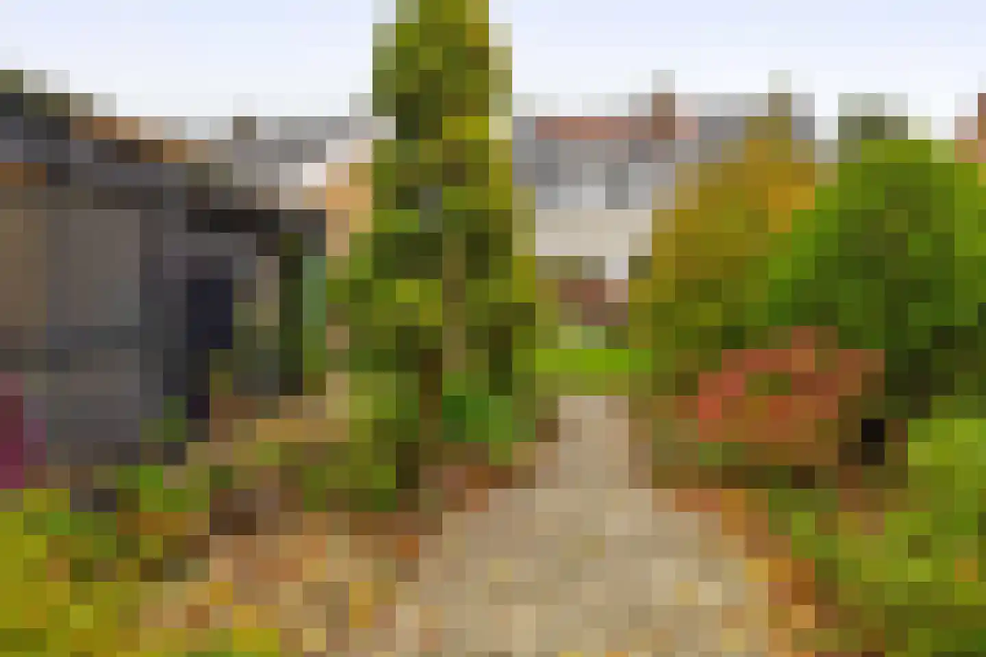 Terbregseweg 42 Rotterdam thumbnail 33