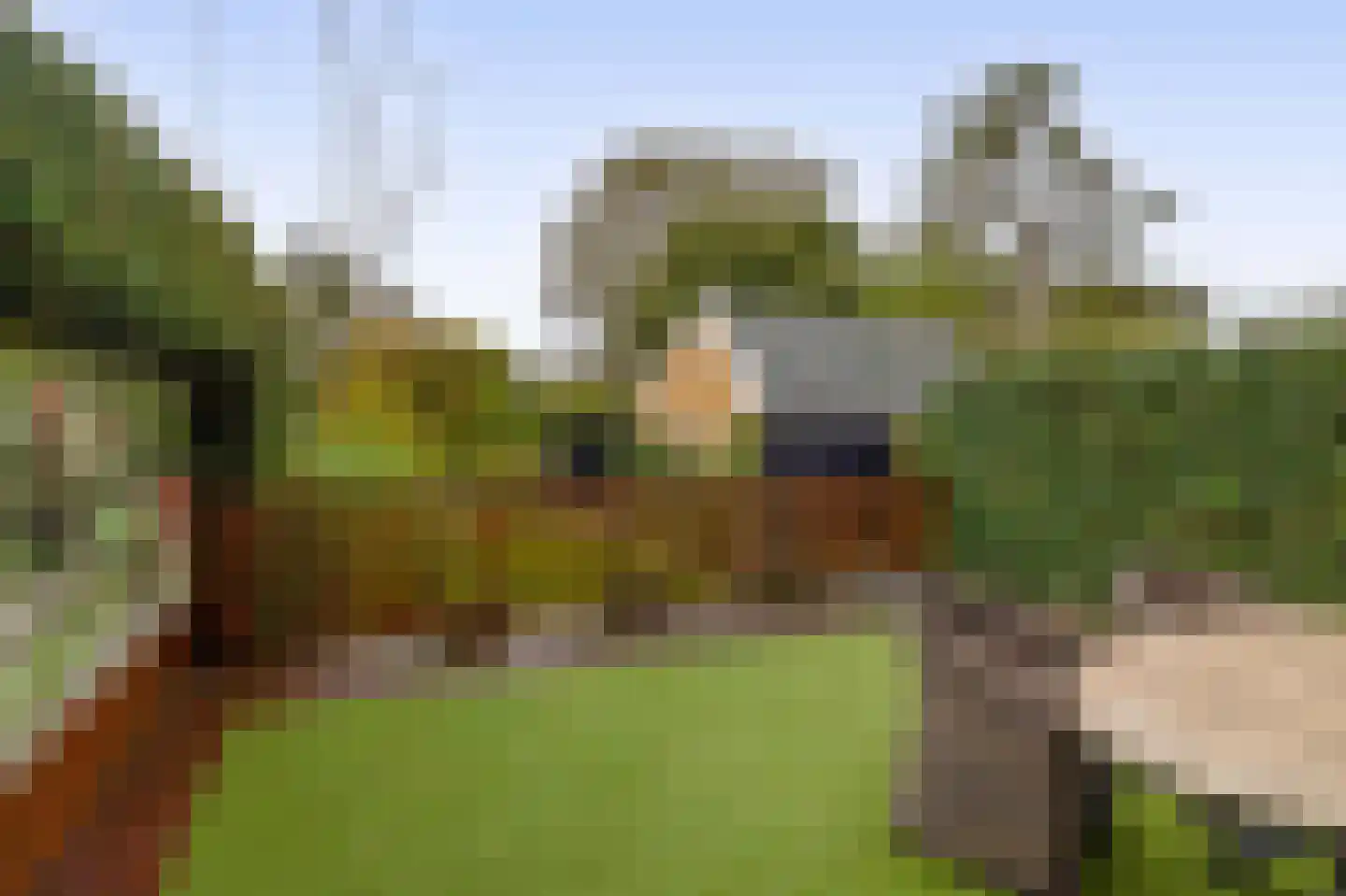 Terbregseweg 42 Rotterdam thumbnail 36