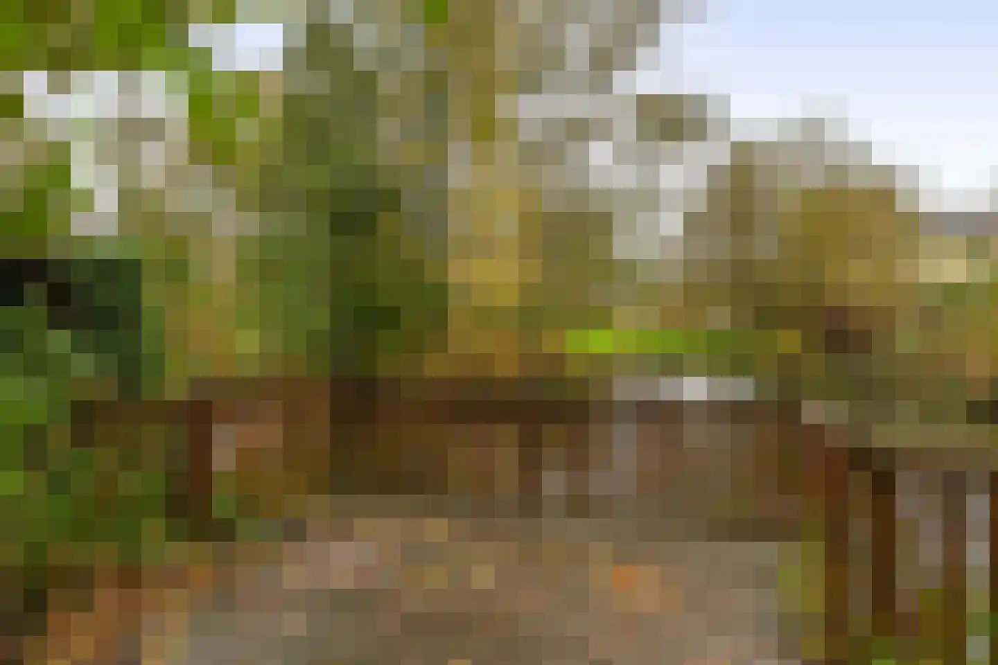 Terbregseweg 42 Rotterdam thumbnail 40