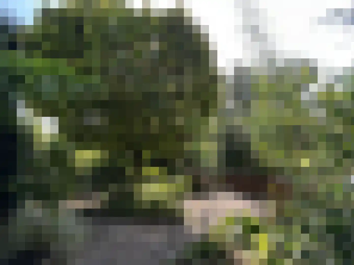Terbregseweg 42 Rotterdam thumbnail 41