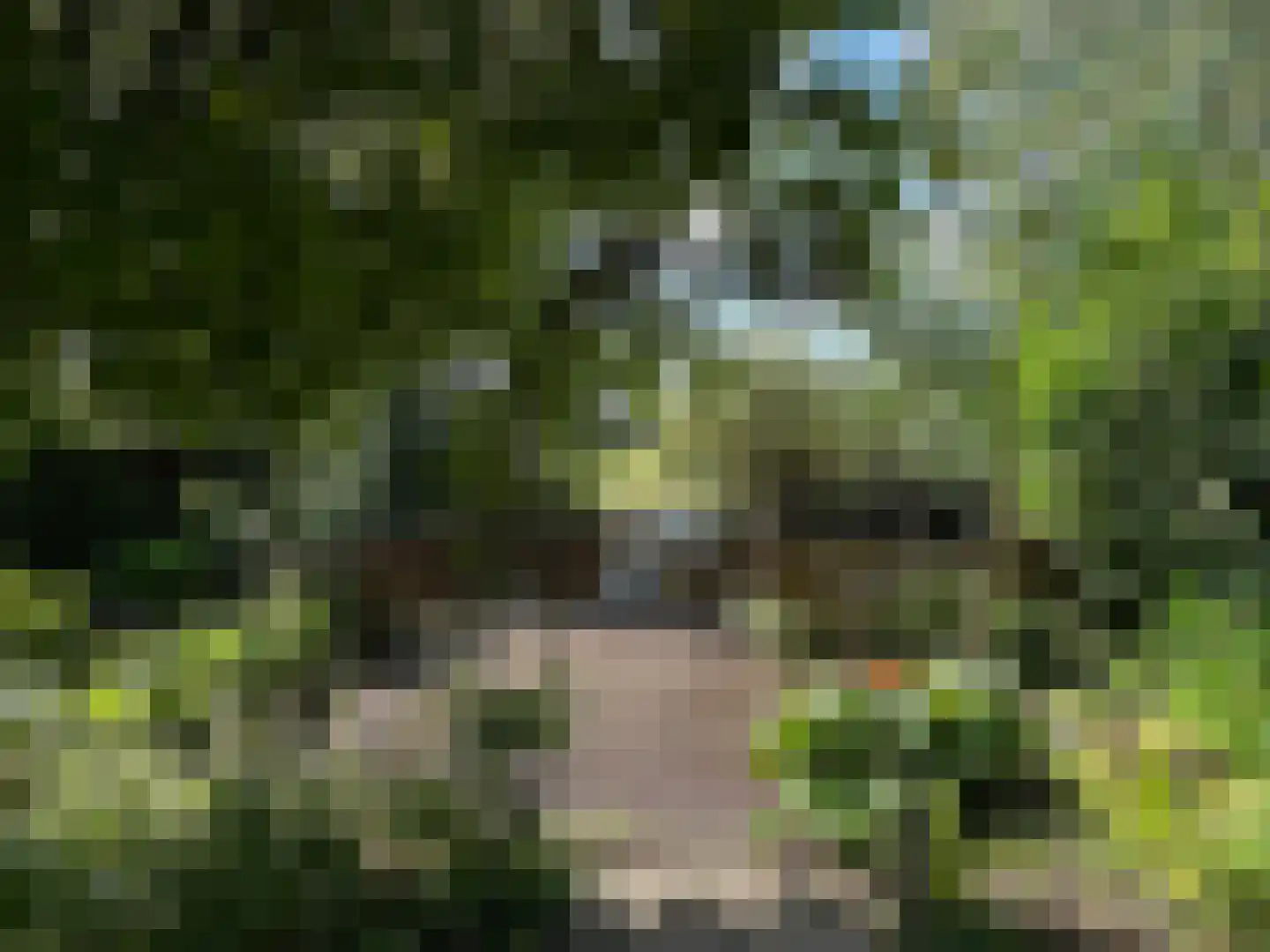 Terbregseweg 42 Rotterdam thumbnail 42