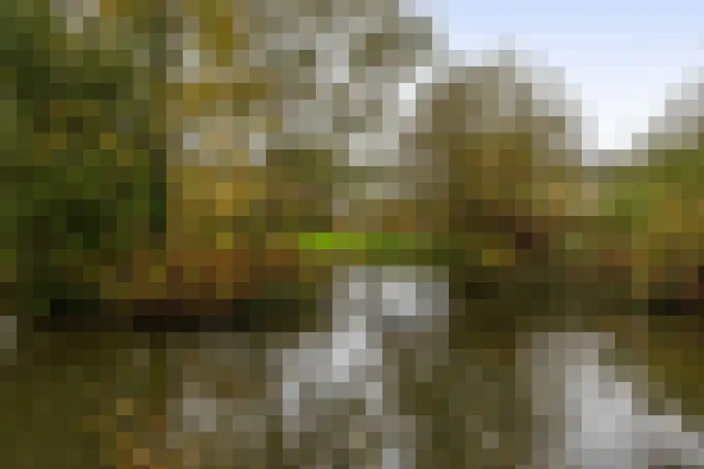 Terbregseweg 42 Rotterdam thumbnail 43