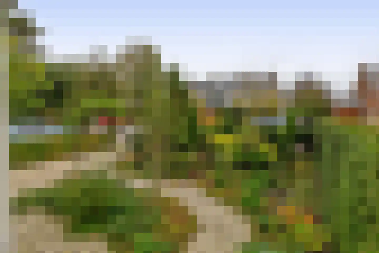 Terbregseweg 42 Rotterdam thumbnail 44