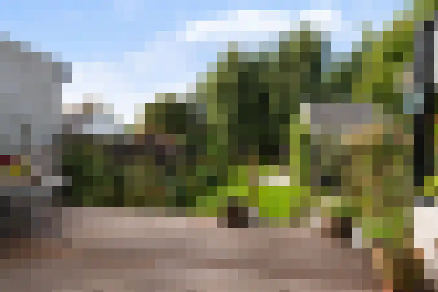 Terbregseweg 54 Rotterdam thumbnail 17