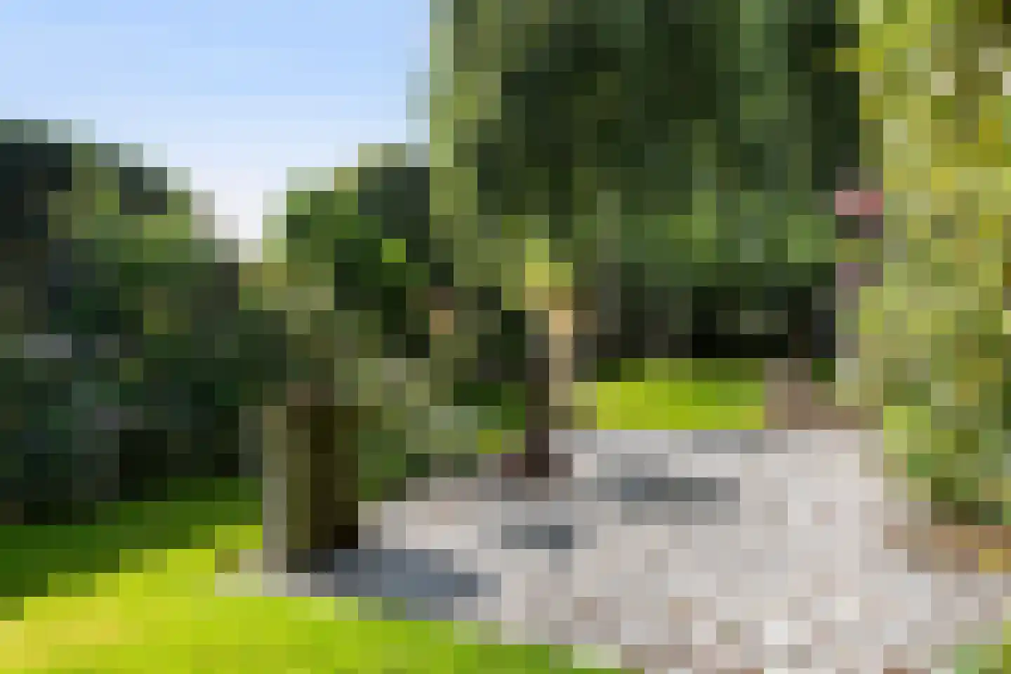 Terbregseweg 54 Rotterdam thumbnail 18