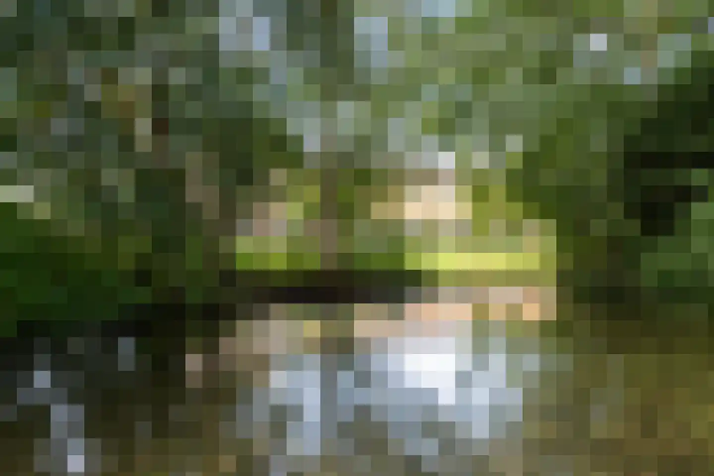 Terbregseweg 54 Rotterdam thumbnail 24