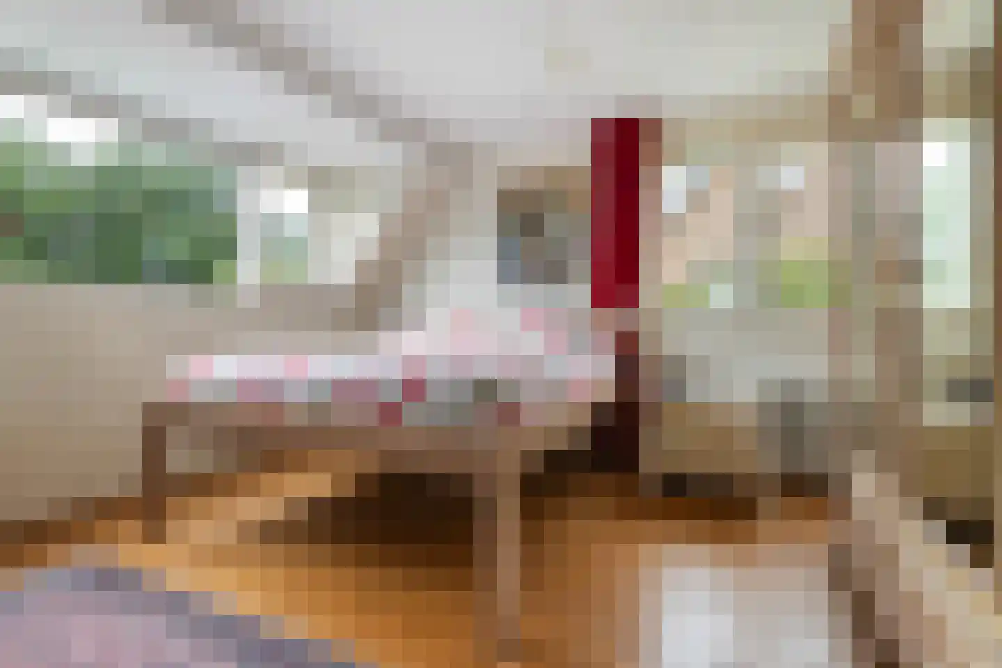 Terbregseweg 54 Rotterdam thumbnail 32