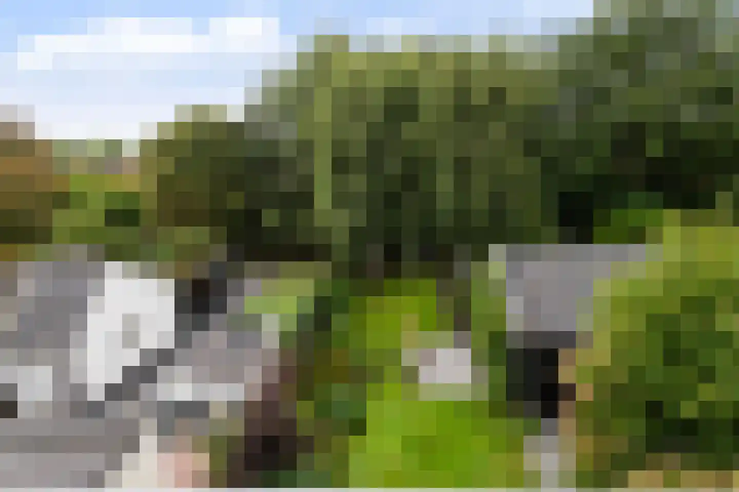 Terbregseweg 54 Rotterdam thumbnail 37