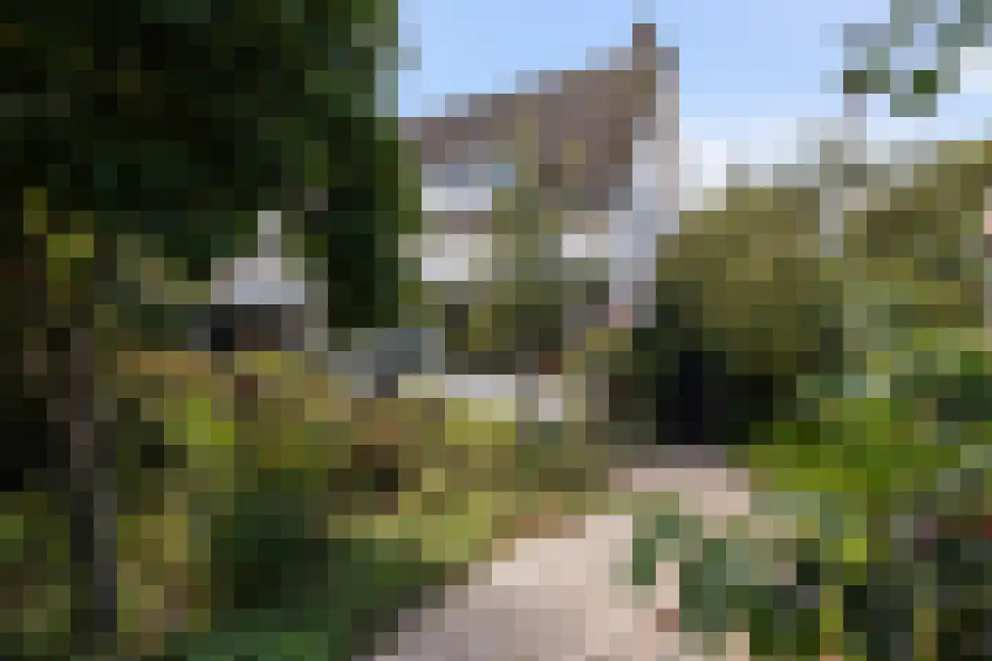 Terbregseweg 54 Rotterdam thumbnail 5
