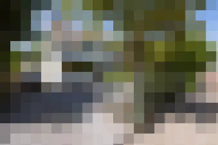 Terbregseweg 56 Rotterdam thumbnail 32