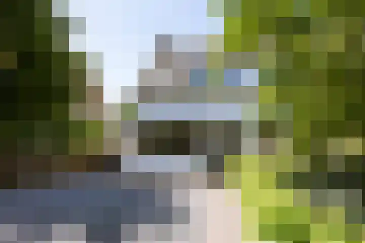 Terbregseweg 56 Rotterdam thumbnail 4
