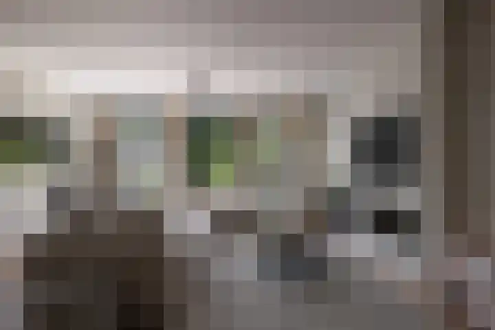 Terbregseweg 56 Rotterdam thumbnail 5