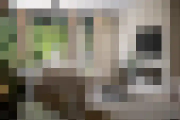 Terbregseweg 56 Rotterdam thumbnail 6