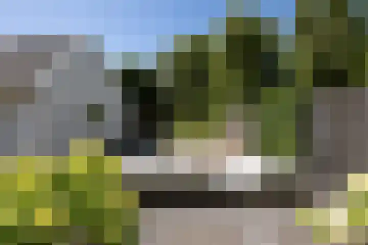 Terbregseweg 56 Rotterdam thumbnail 7