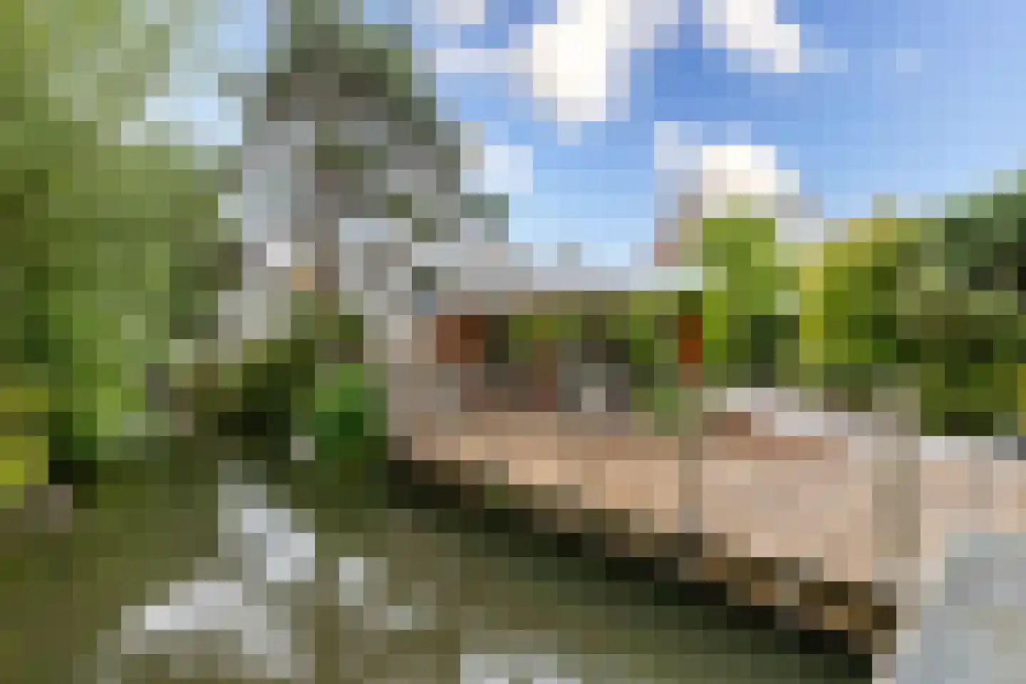 Terbregseweg 95 Rotterdam thumbnail 51
