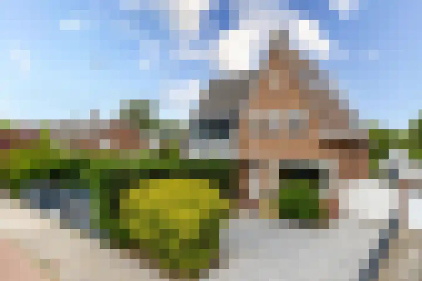Terbregseweg 95 Rotterdam thumbnail 65