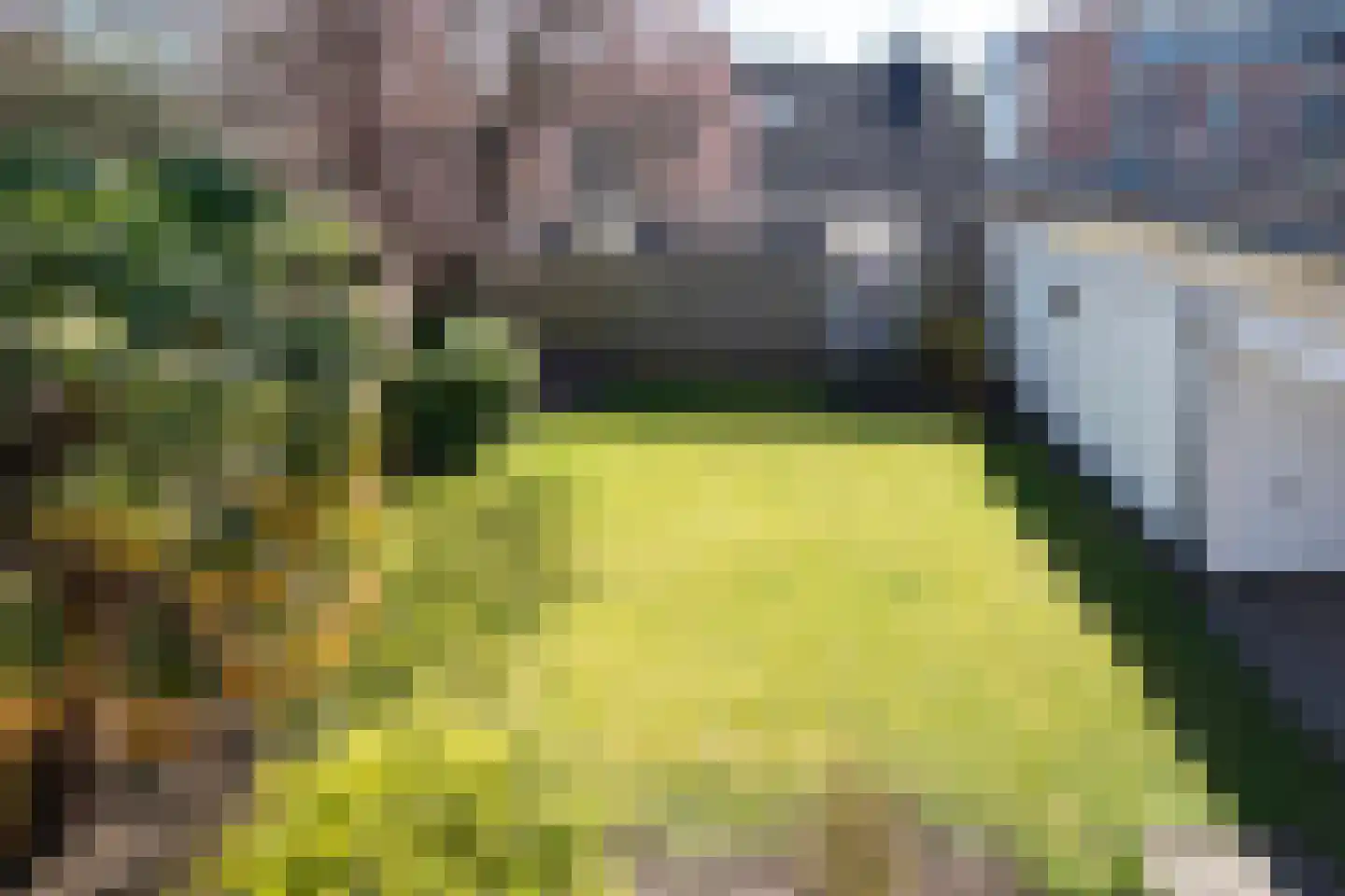 Terburghtweg 20 Oisterwijk thumbnail 27