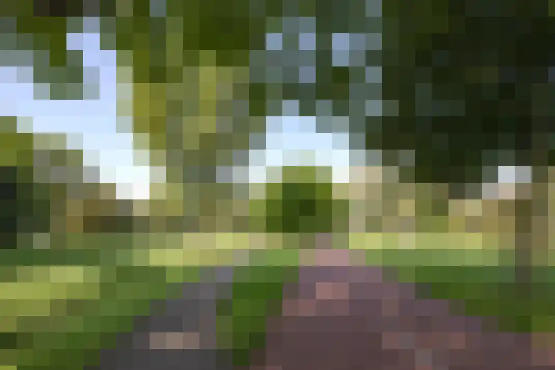 Terburghtweg 20 Oisterwijk thumbnail 32