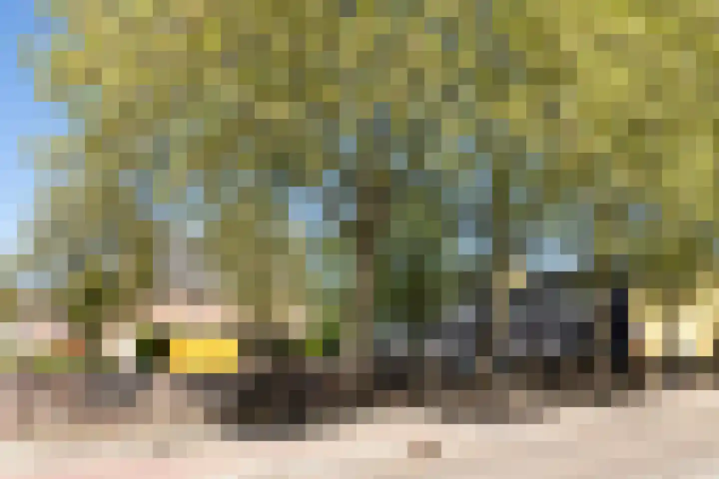 Terburghtweg 20 Oisterwijk thumbnail 37
