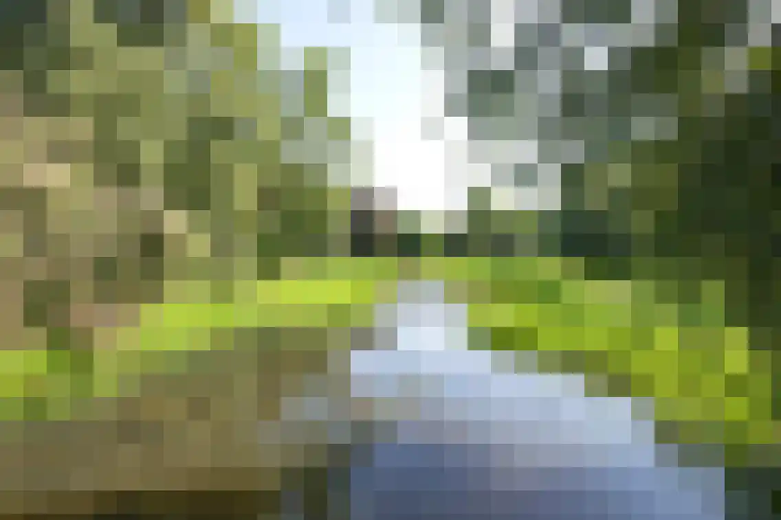 Terburghtweg 20 Oisterwijk thumbnail 45