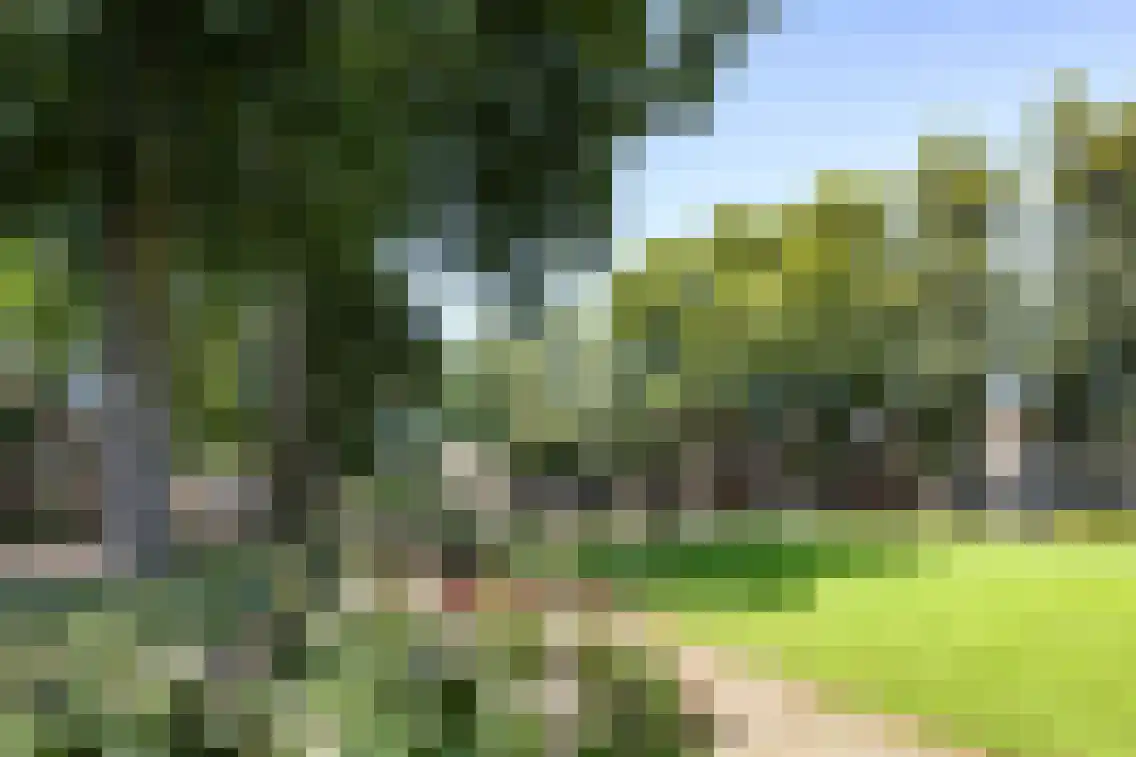 Terburghtweg 20 Oisterwijk thumbnail 46