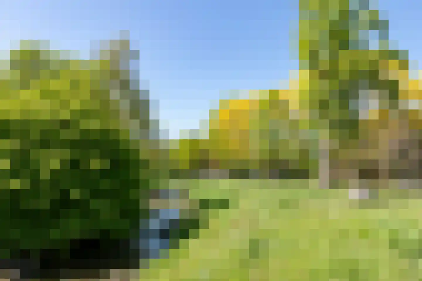 Terburghtweg 20 Oisterwijk thumbnail 47