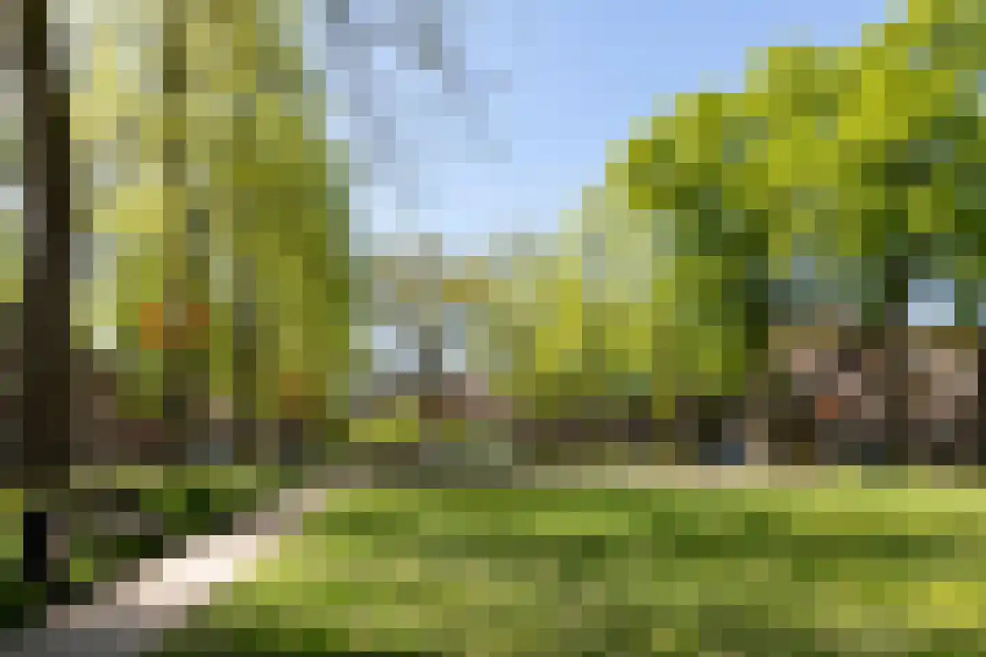 Terburghtweg 20 Oisterwijk thumbnail 50