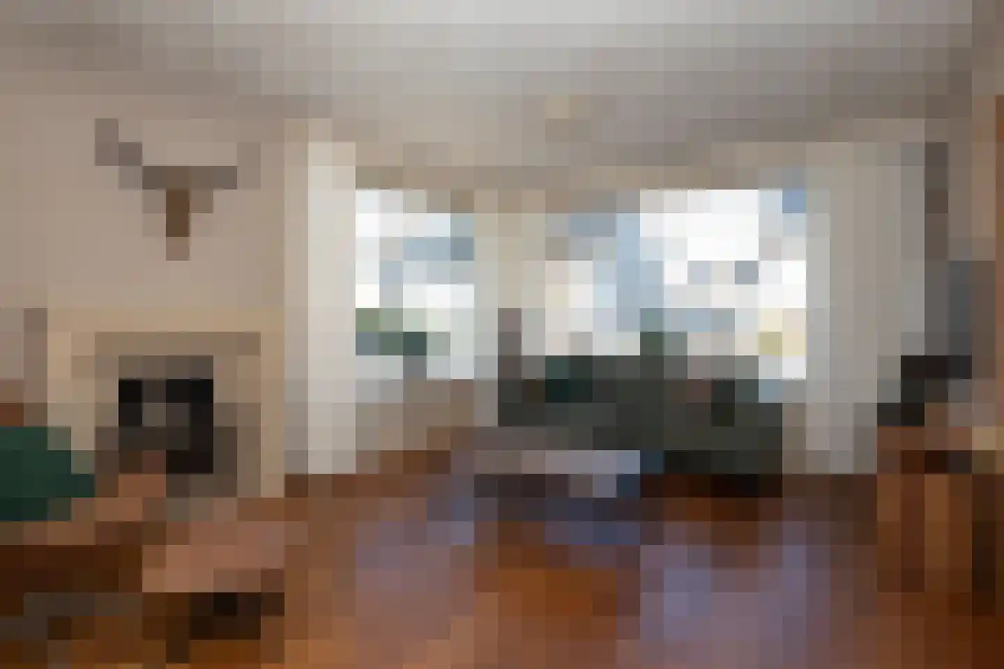 Terburghtweg 20 Oisterwijk thumbnail 6