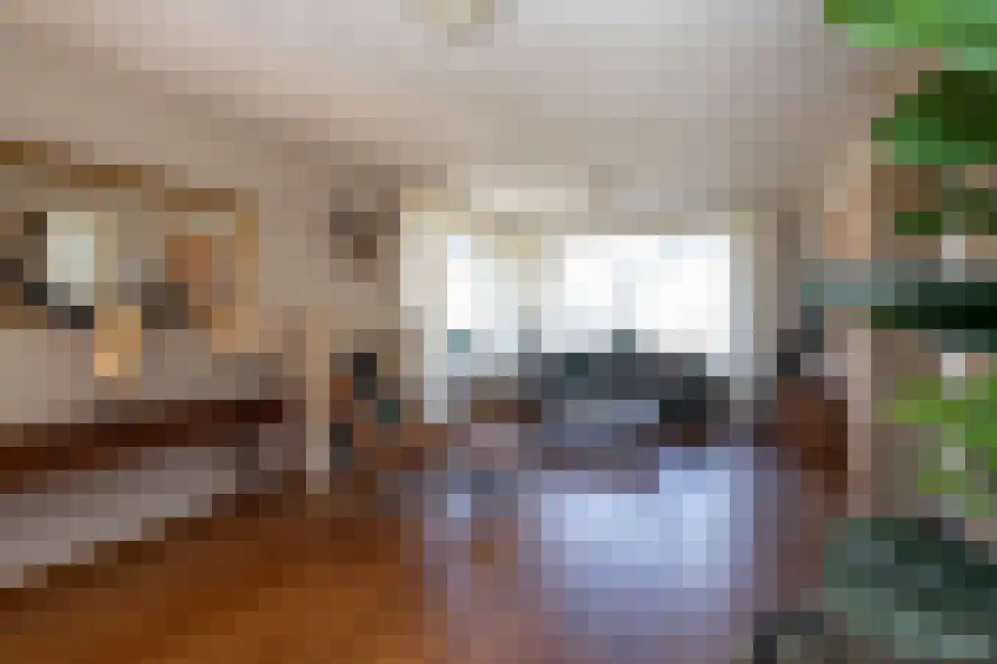Terburghtweg 20 Oisterwijk thumbnail 8