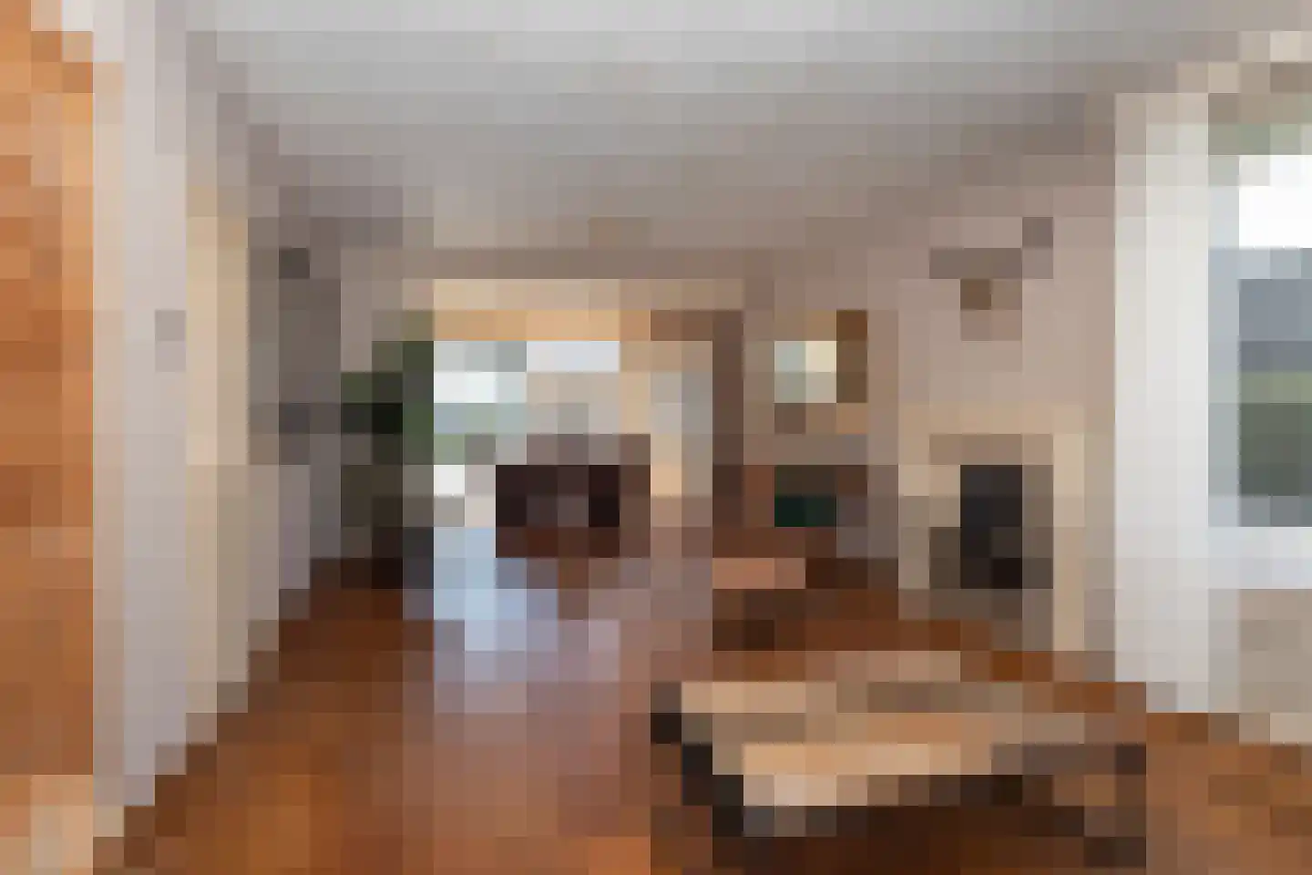 Terburghtweg 20 Oisterwijk thumbnail 9