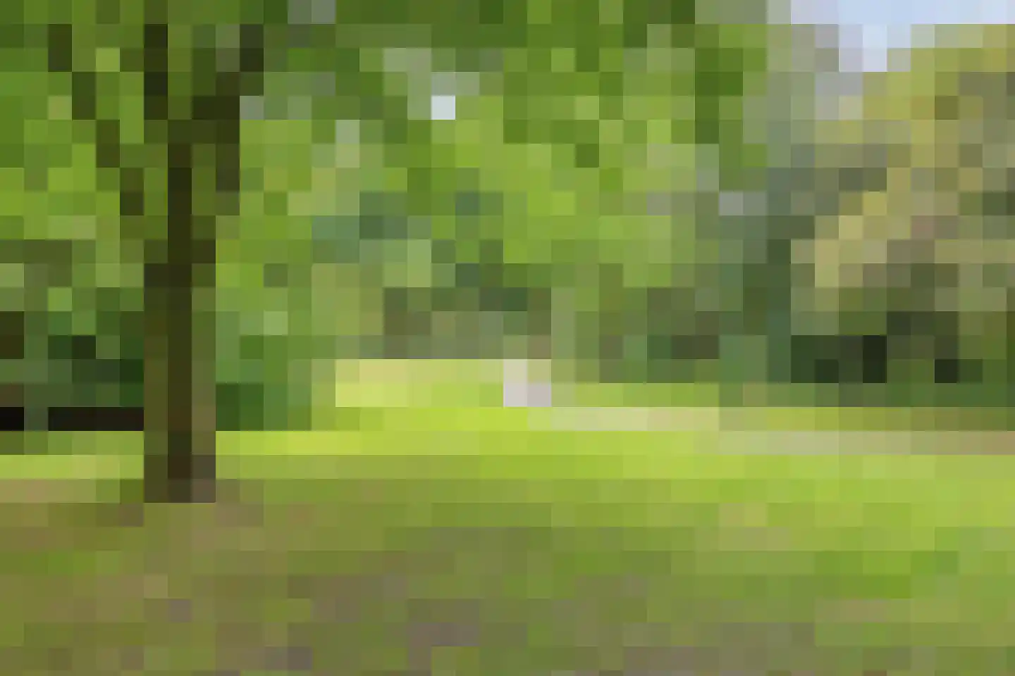 Terburghtweg 5 A Oisterwijk thumbnail 76