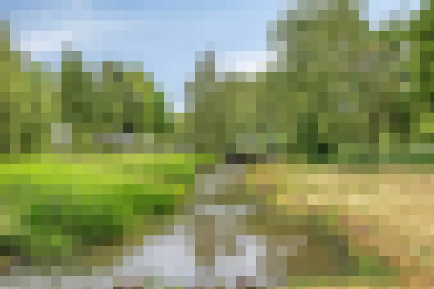 Terburghtweg 5 A Oisterwijk thumbnail 77