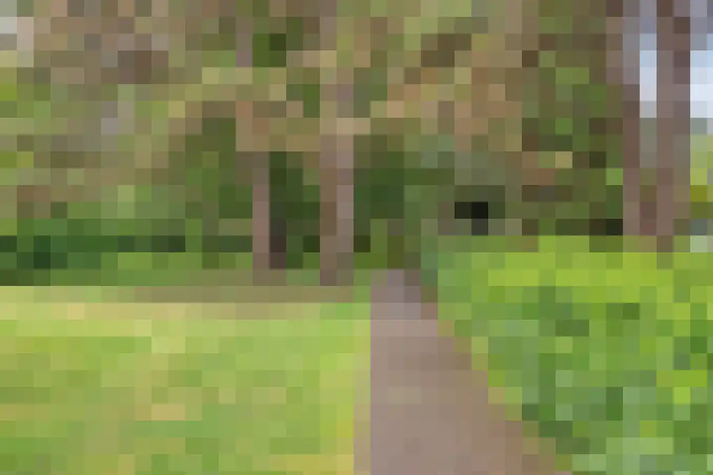 Terburghtweg 5 A Oisterwijk thumbnail 78