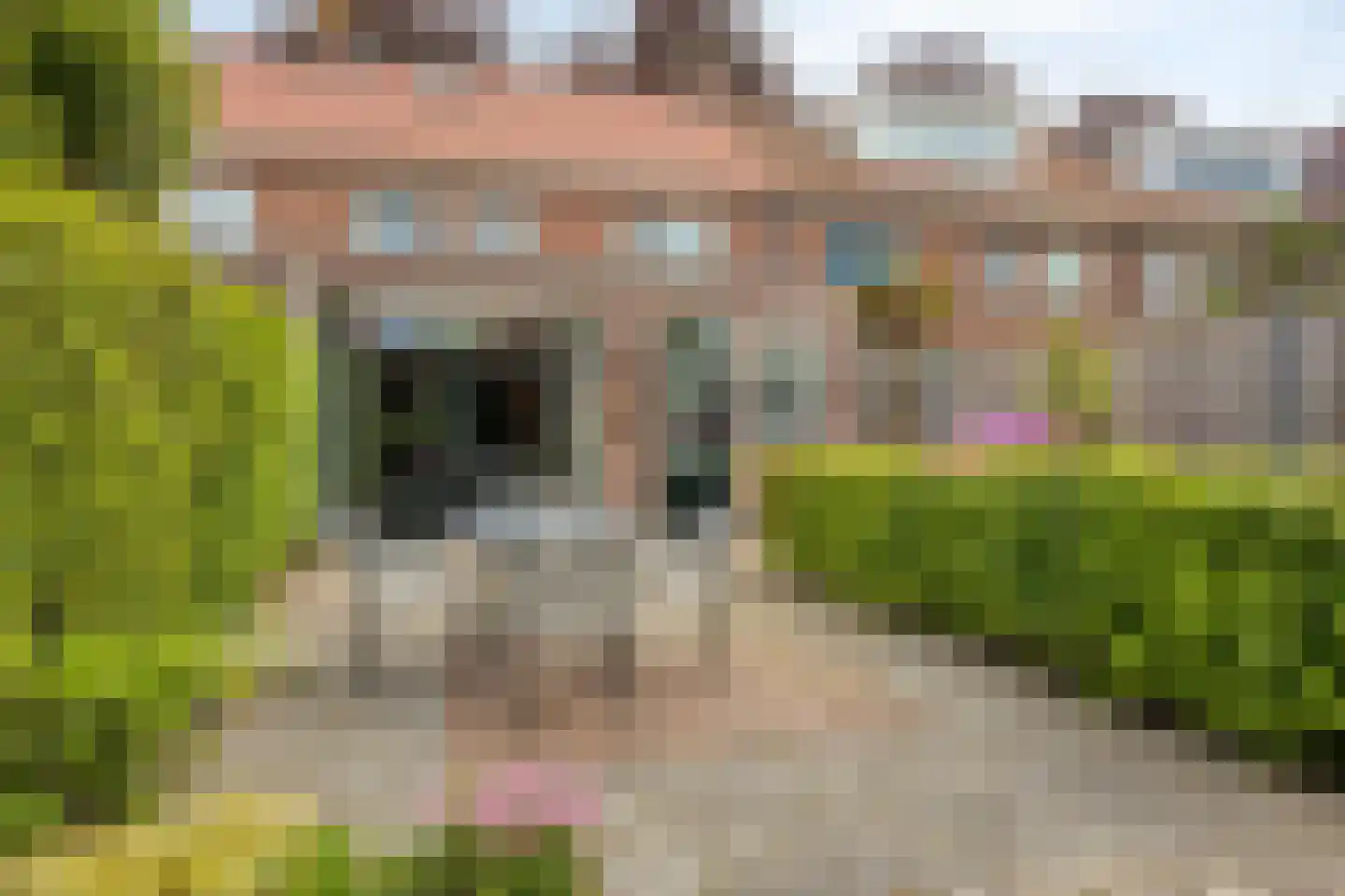 Terburghtweg 61 Oisterwijk thumbnail 42