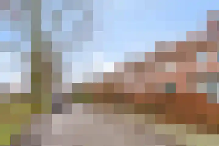 Terburghtweg 69 Oisterwijk thumbnail 39