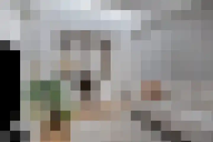Terburghtweg 69 Oisterwijk thumbnail 9