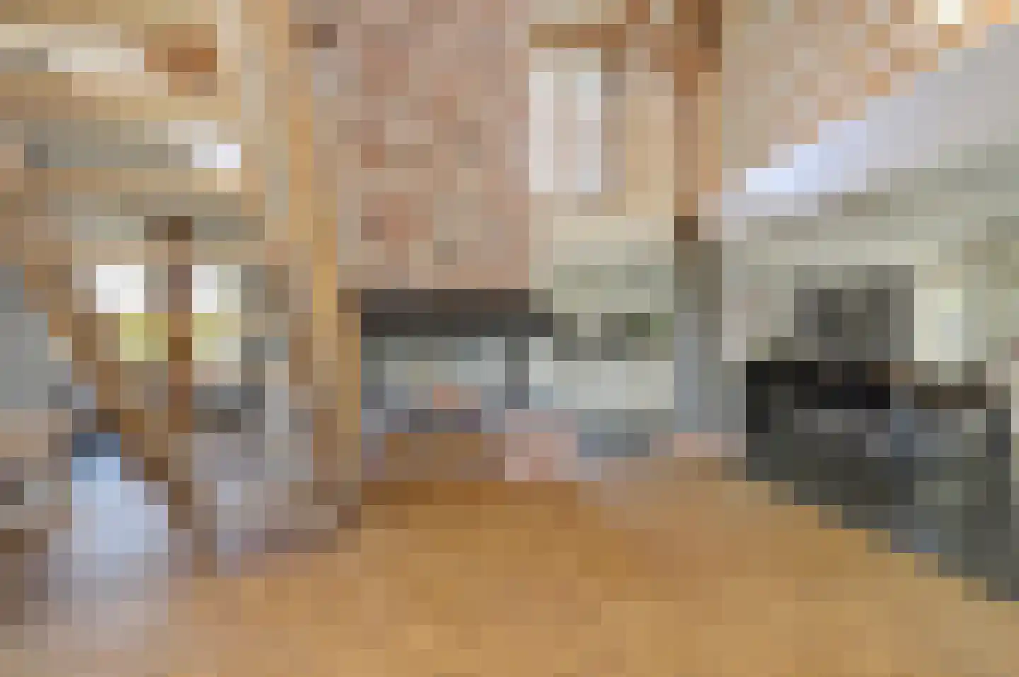 Terdiek 11 Nieuwe Niedorp thumbnail 13