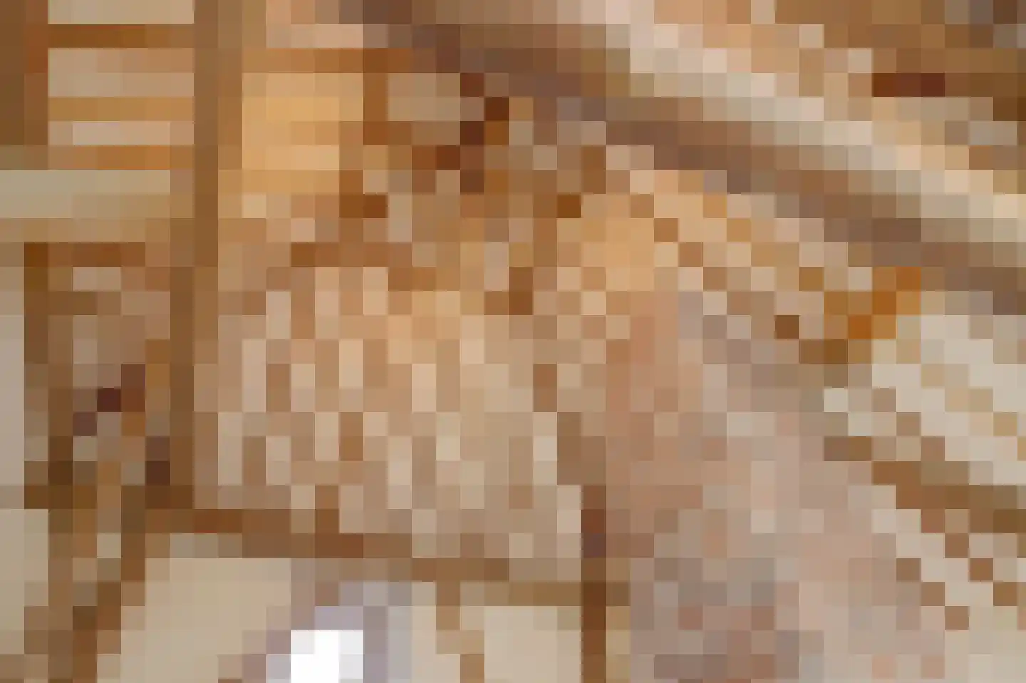 Terdiek 11 Nieuwe Niedorp thumbnail 14