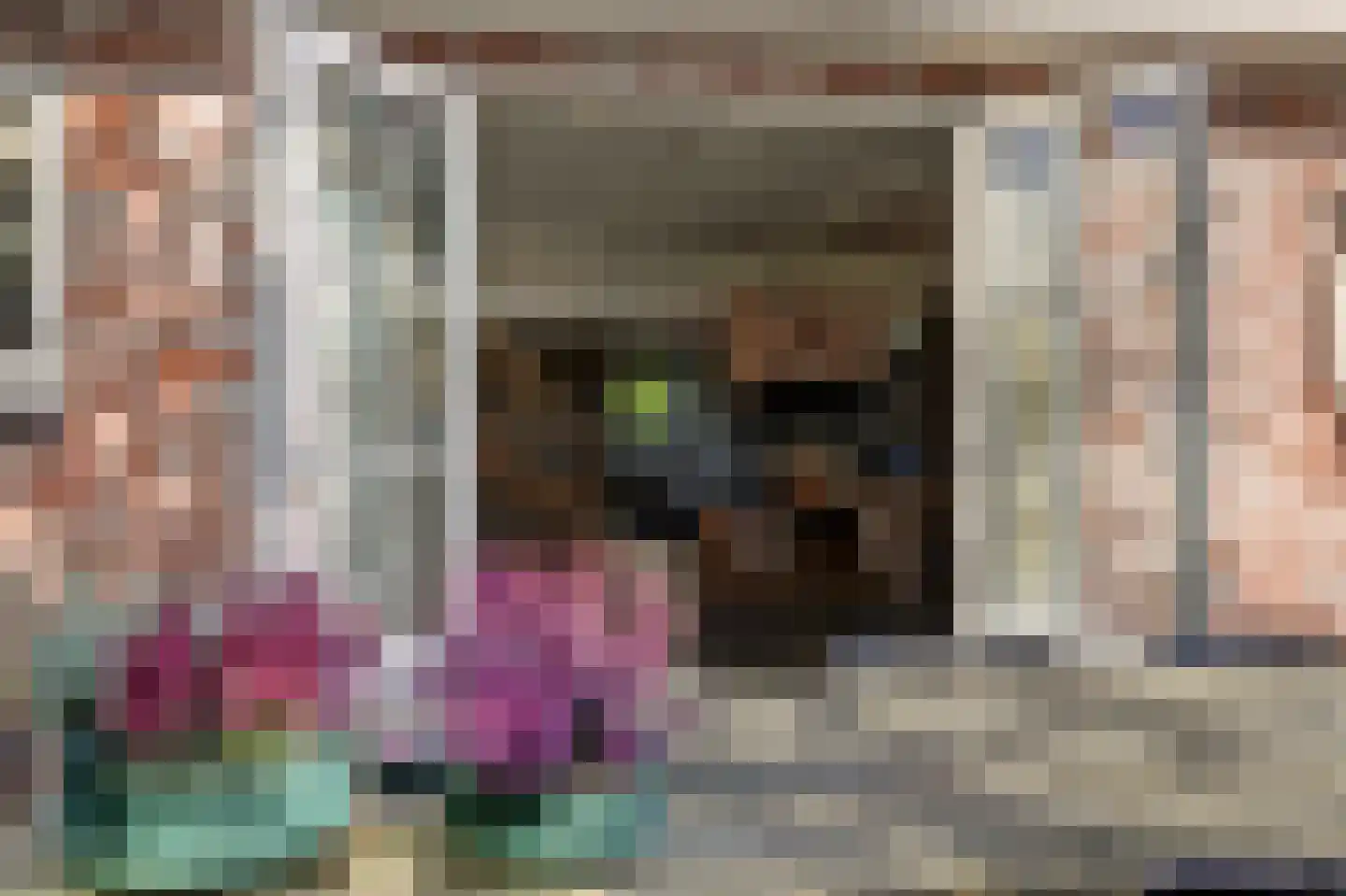 Terdiek 11 Nieuwe Niedorp thumbnail 20